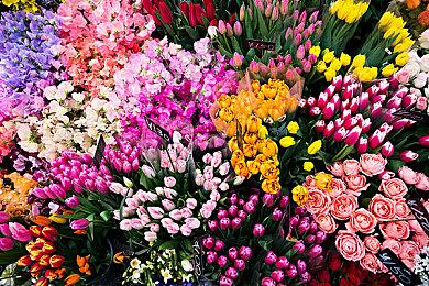 《遗迹2》跨平台游戏全平台上线 更多内容等待推出