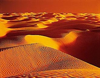 英国6月榜：《艾尔登法环》DLC发售销量狂飙467%