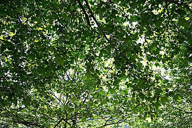 “怪兽 8号 THE GAME”  4 月 25 日（五）开启全球事前预约！